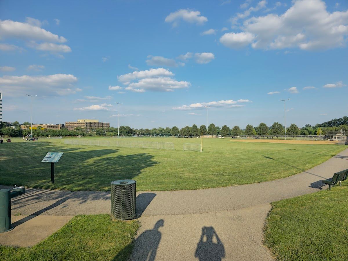 Green Tree Park