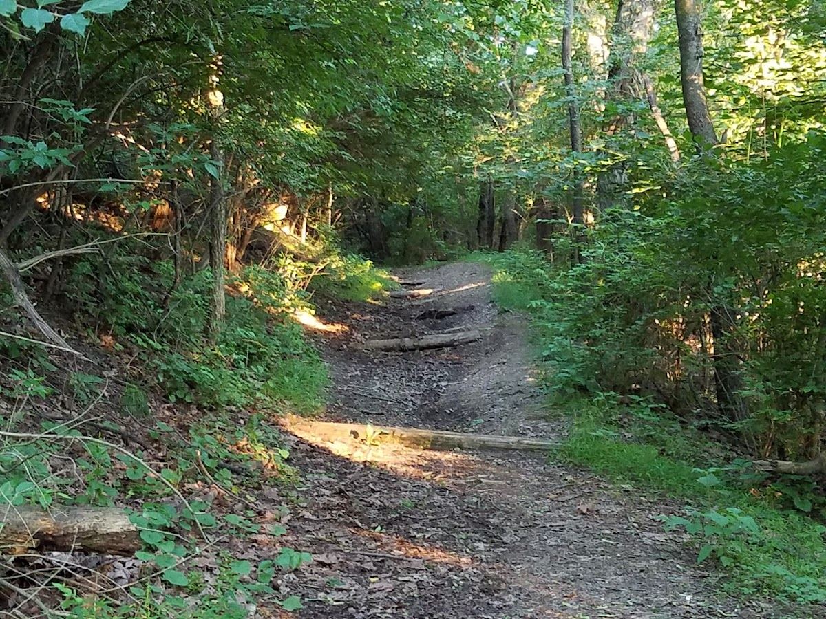 Hazelwood Greenway