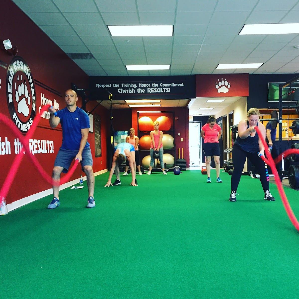 Bear Essentials Fitness