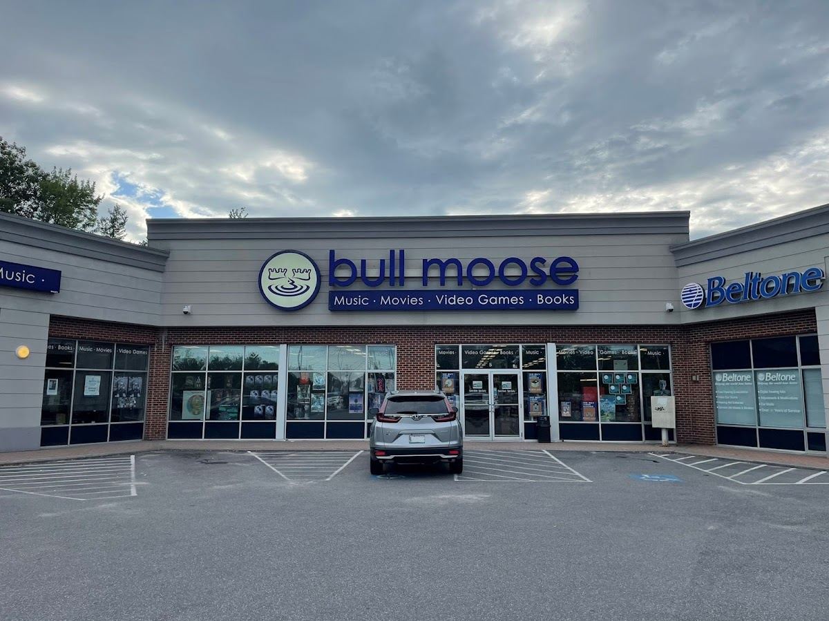 Bull Moose