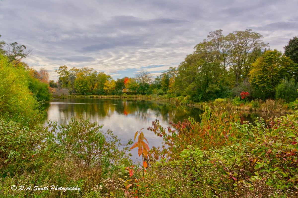 Capisic Pond Park