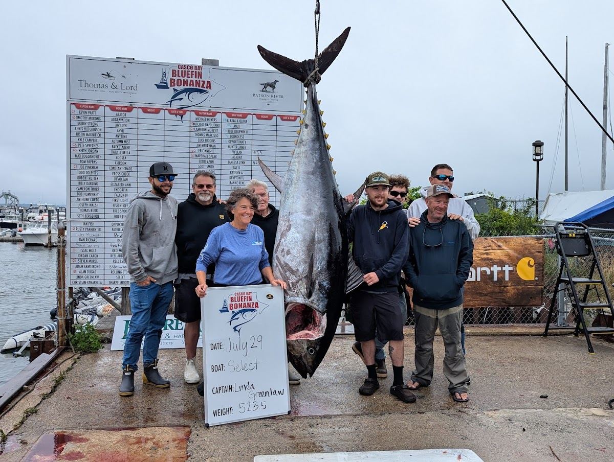 Casco Bay Bluefin Bonanza