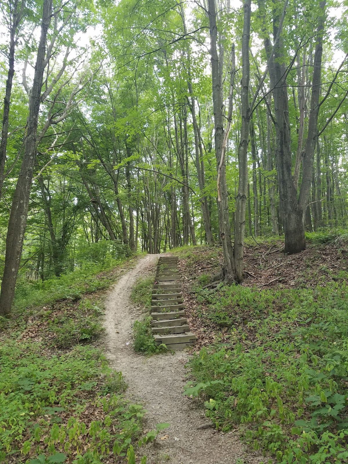 Clark's Pond Trail