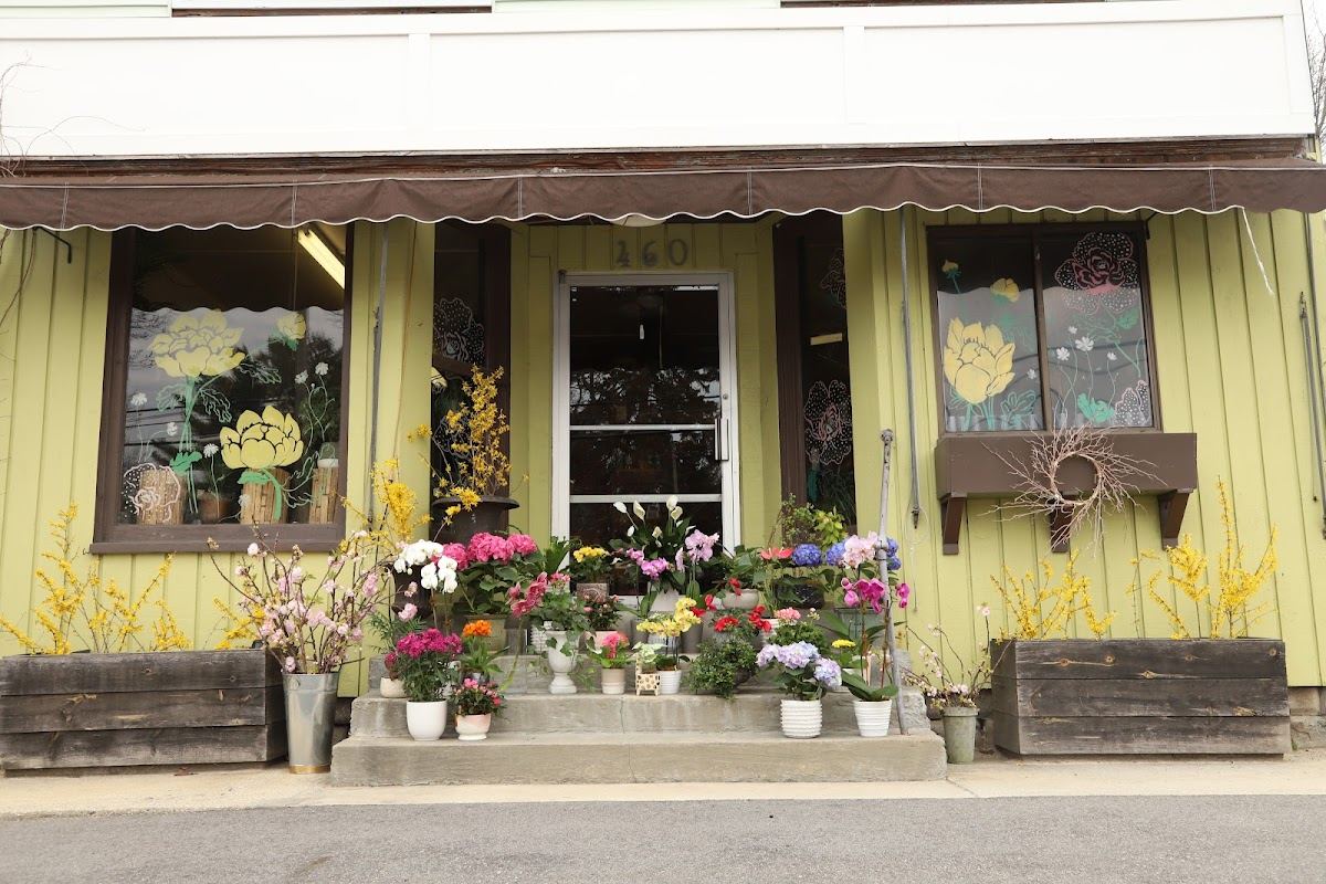 Fleur De Lis Floral Design & Gifts