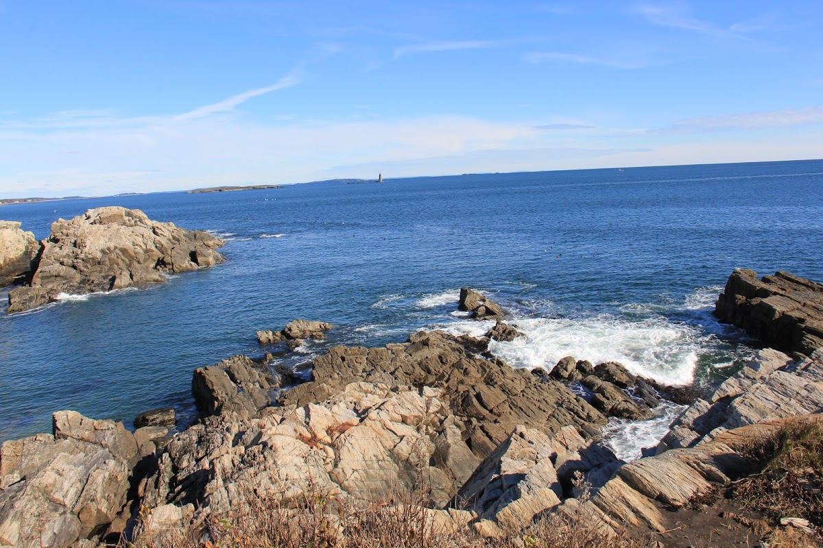 Fort Williams