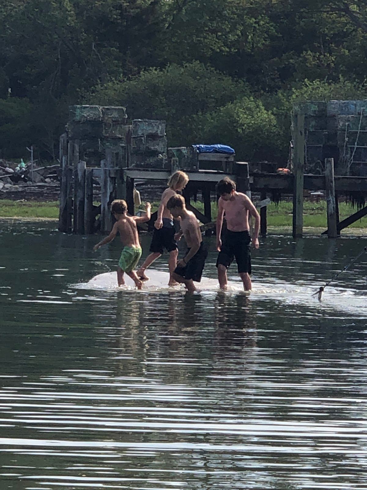Griffin's Cove