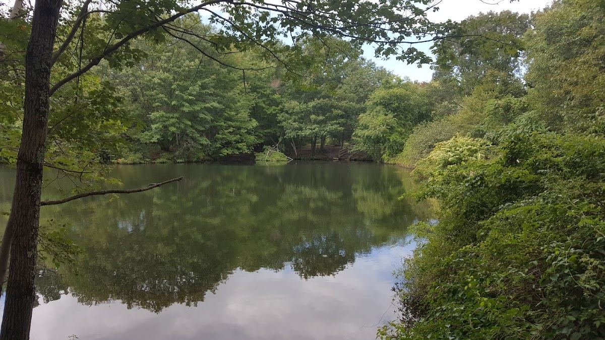 Hinckley Park