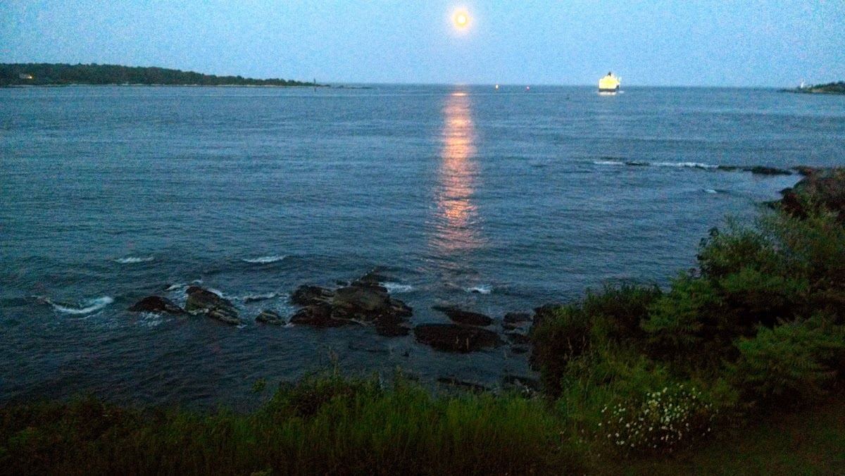 Maine Island Treasures