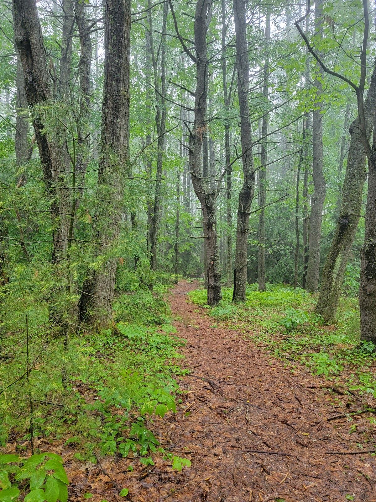Milliken Mills Trails Park