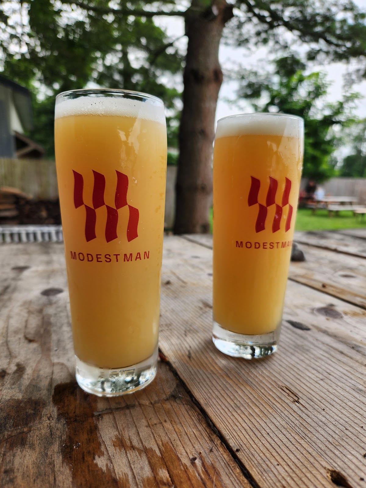 Modestman Brewing