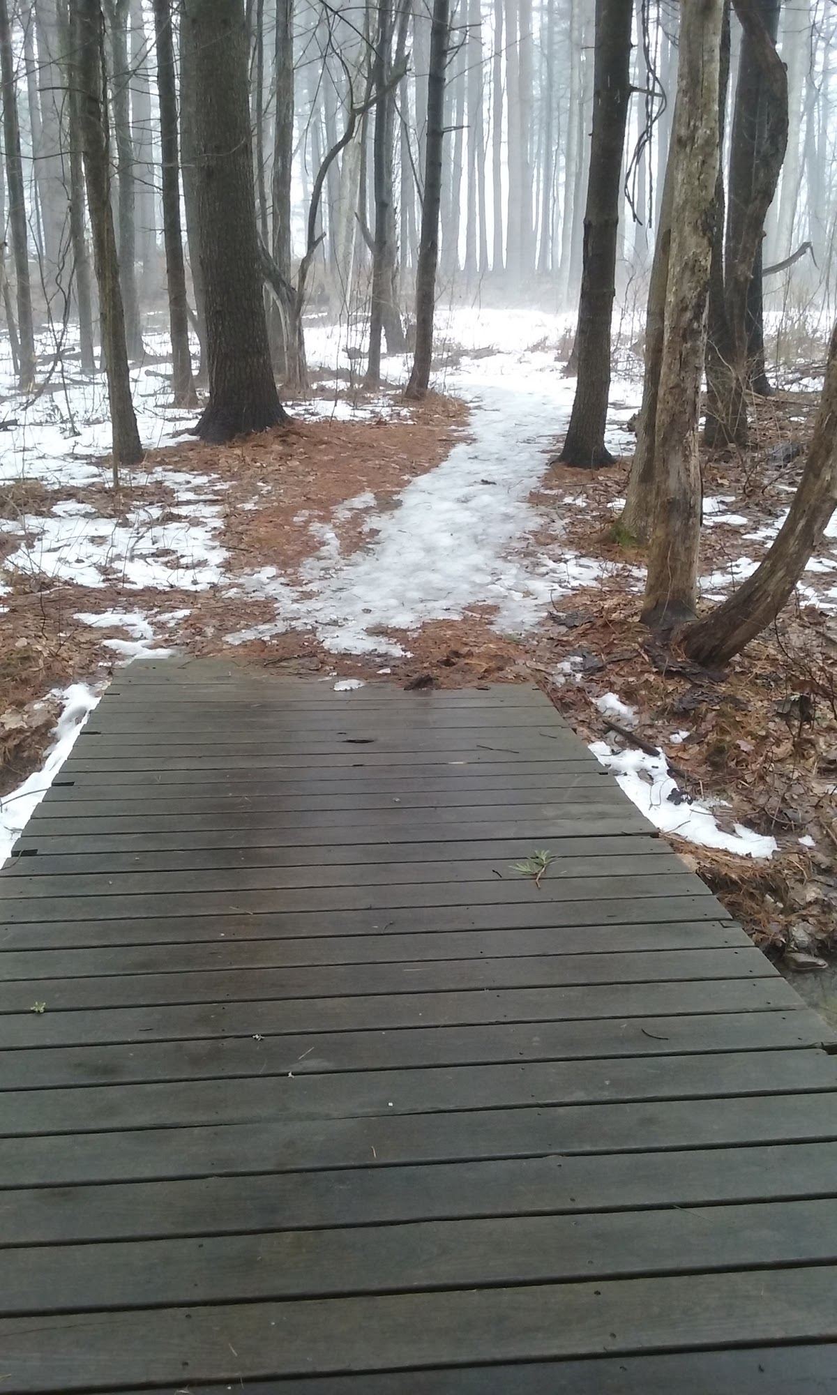 Pine Grove Park