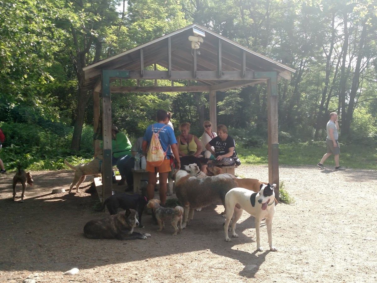 Quarry Run Dog Park