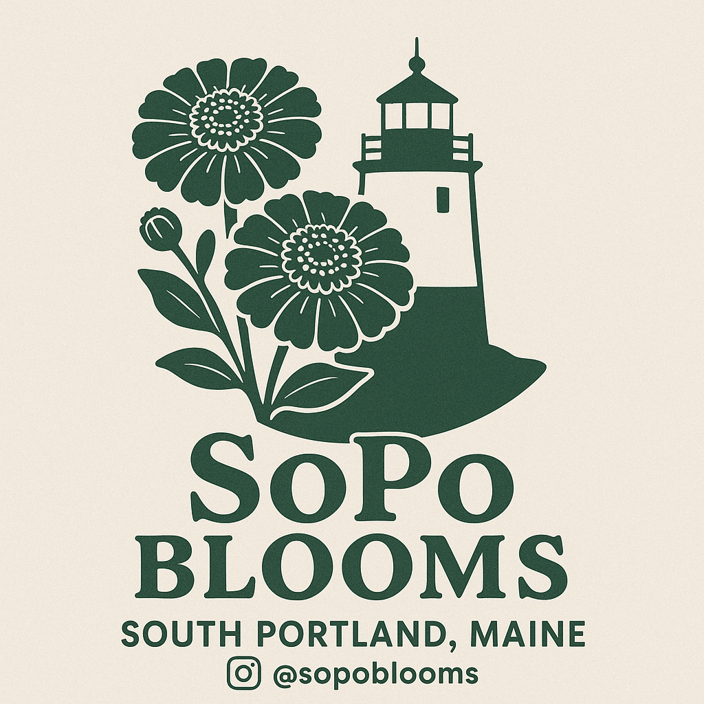 SoPo Blooms