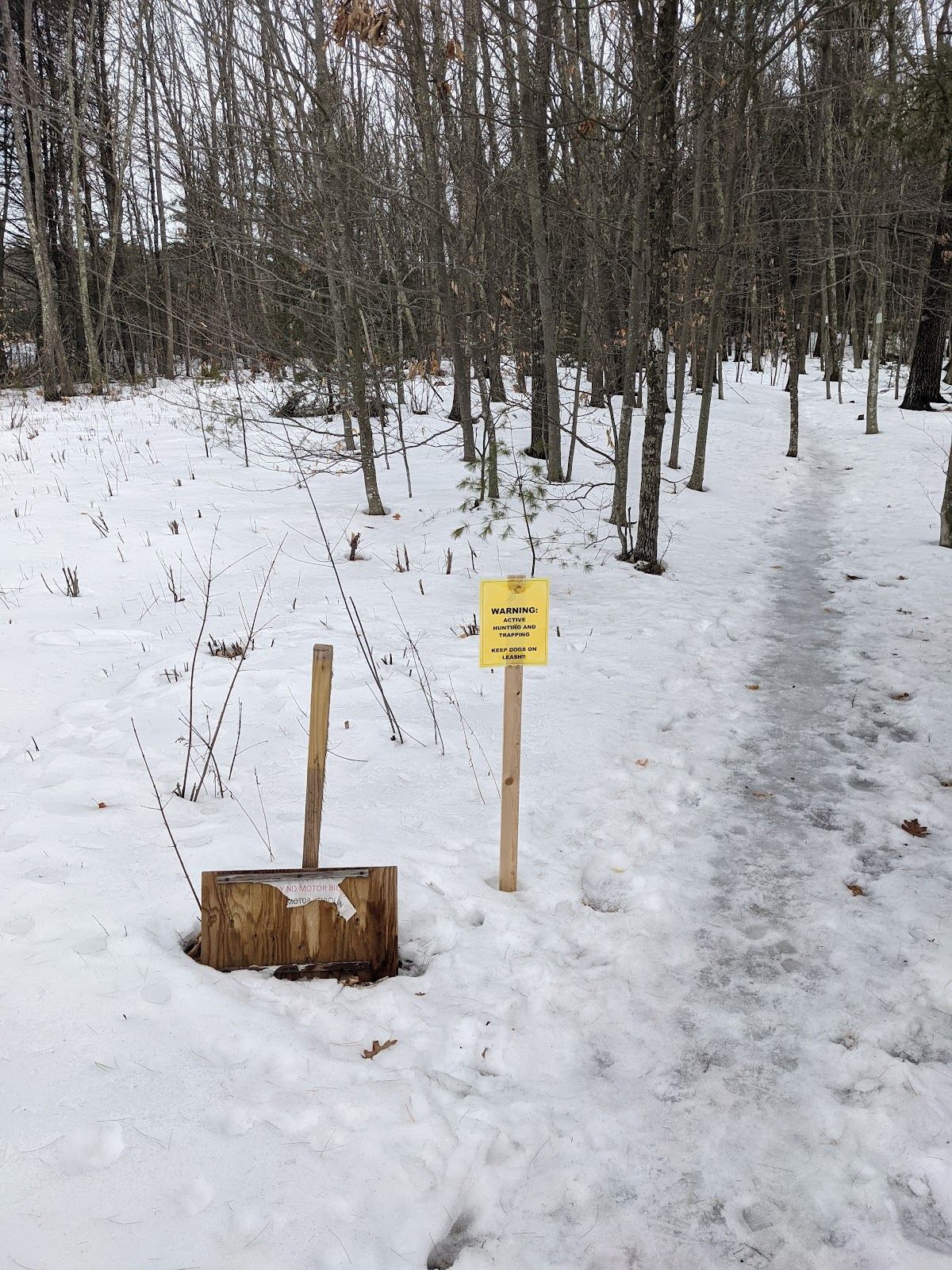Sylvan Trail