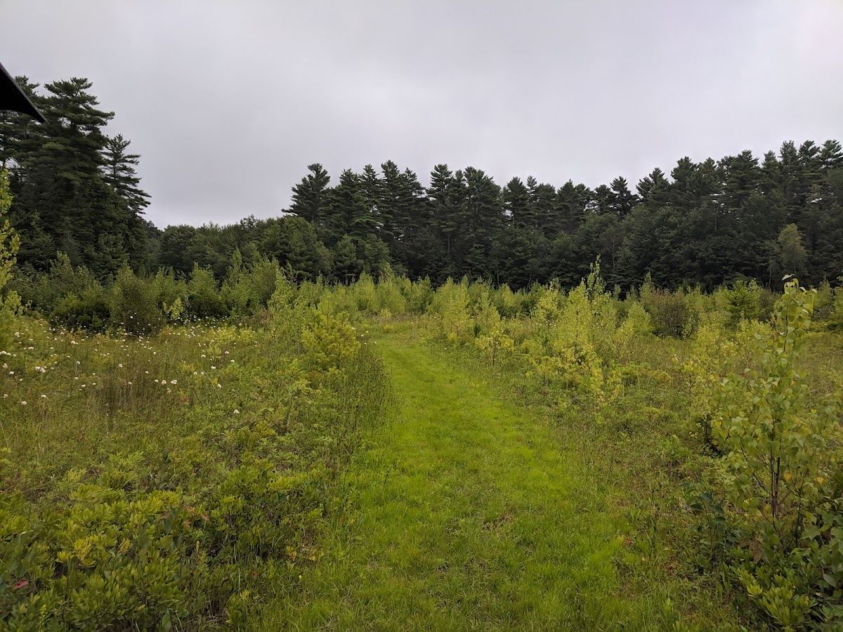 Warren Woods Trail, Scarborough Land Trust