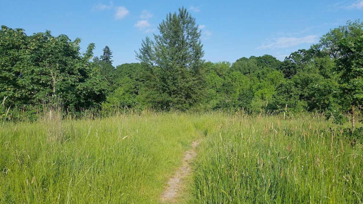 3-Creeks Protected Area