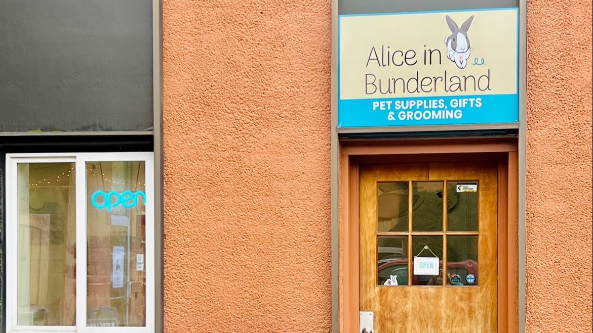 Alice in Bunderland
