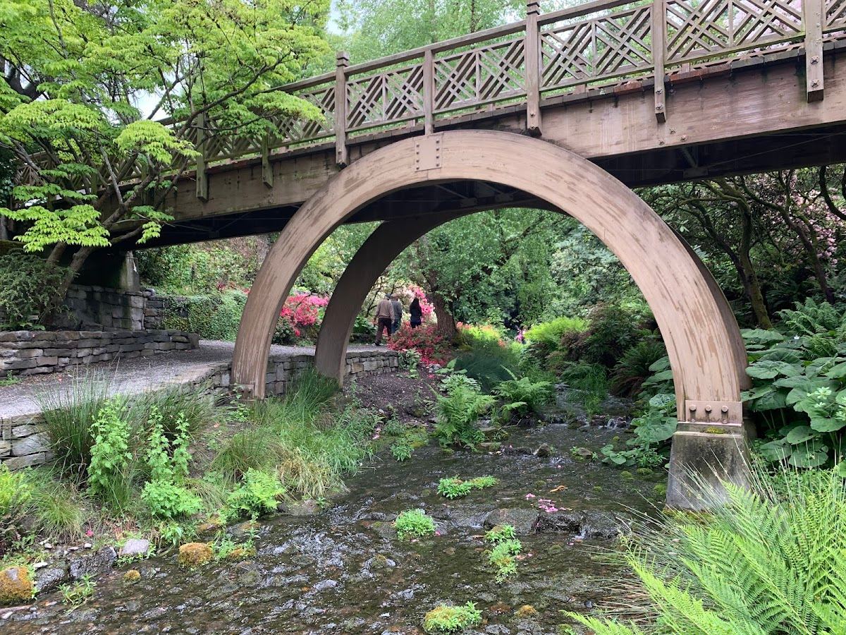 Crystal Springs Rhododendron Garden