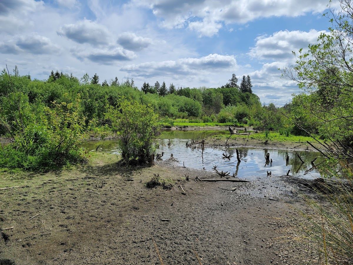 Englewood Park