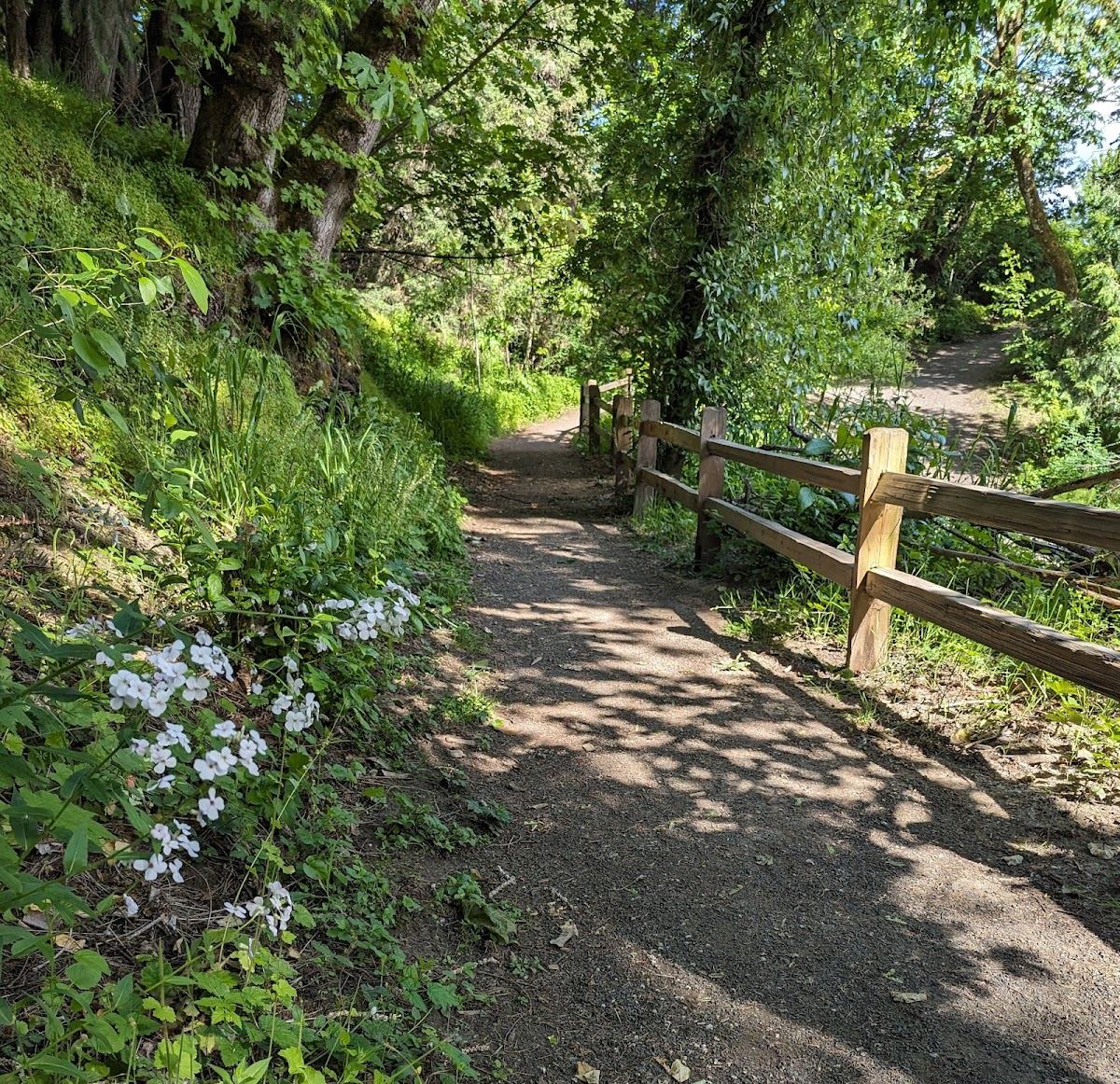 Errol Heights Park