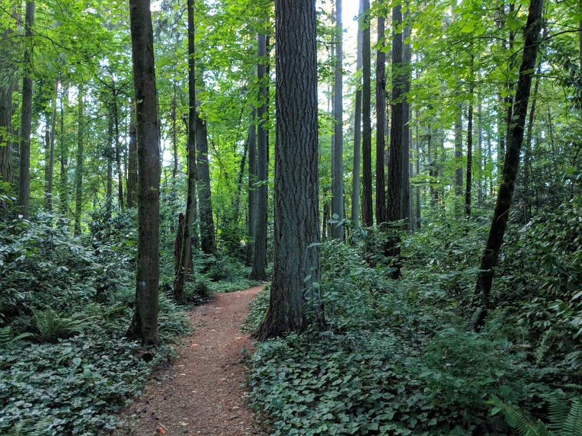 Heron Grove City Park