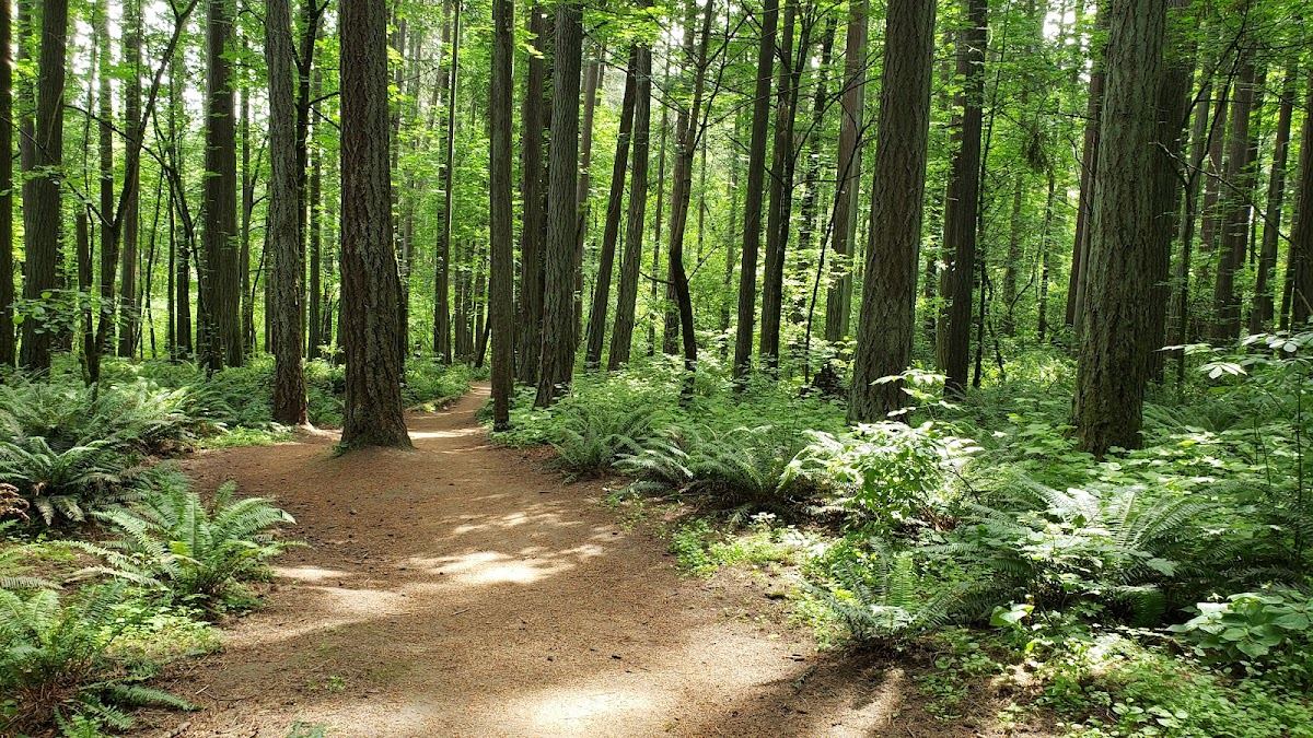 Hyland Forest Park