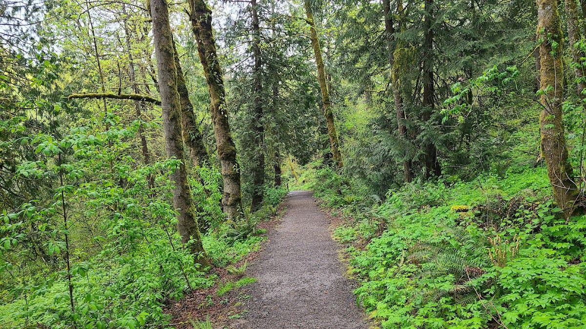 Jordan Woods Natural Area