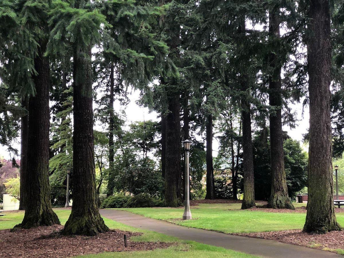 Kenilworth Park