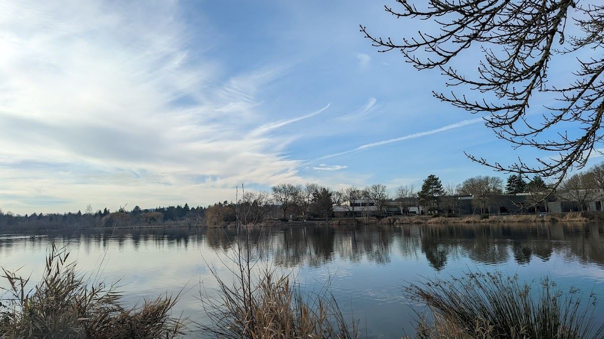 Koll Center Wetlands Park