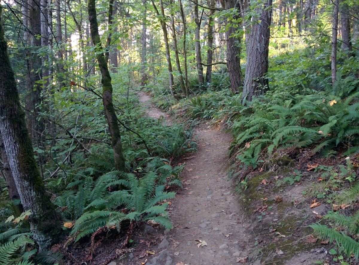 Mount Talbert Nature Park