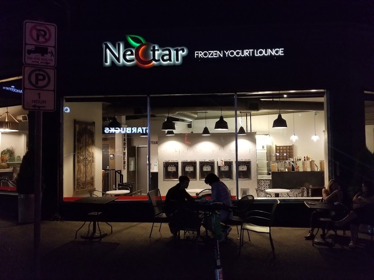 Nectar Frozen Yogurt Lounge