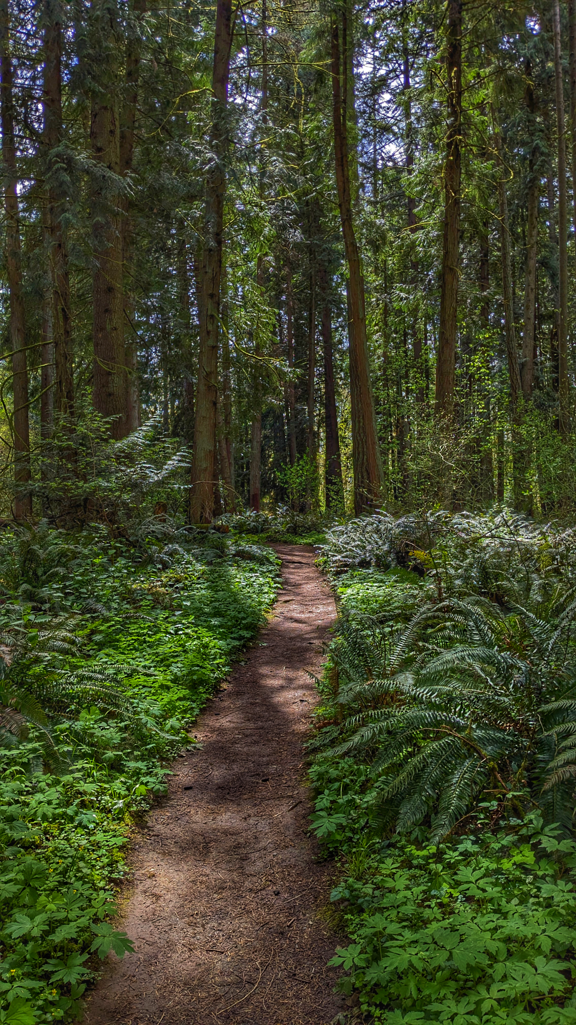 Tualatin Hills Nature Center