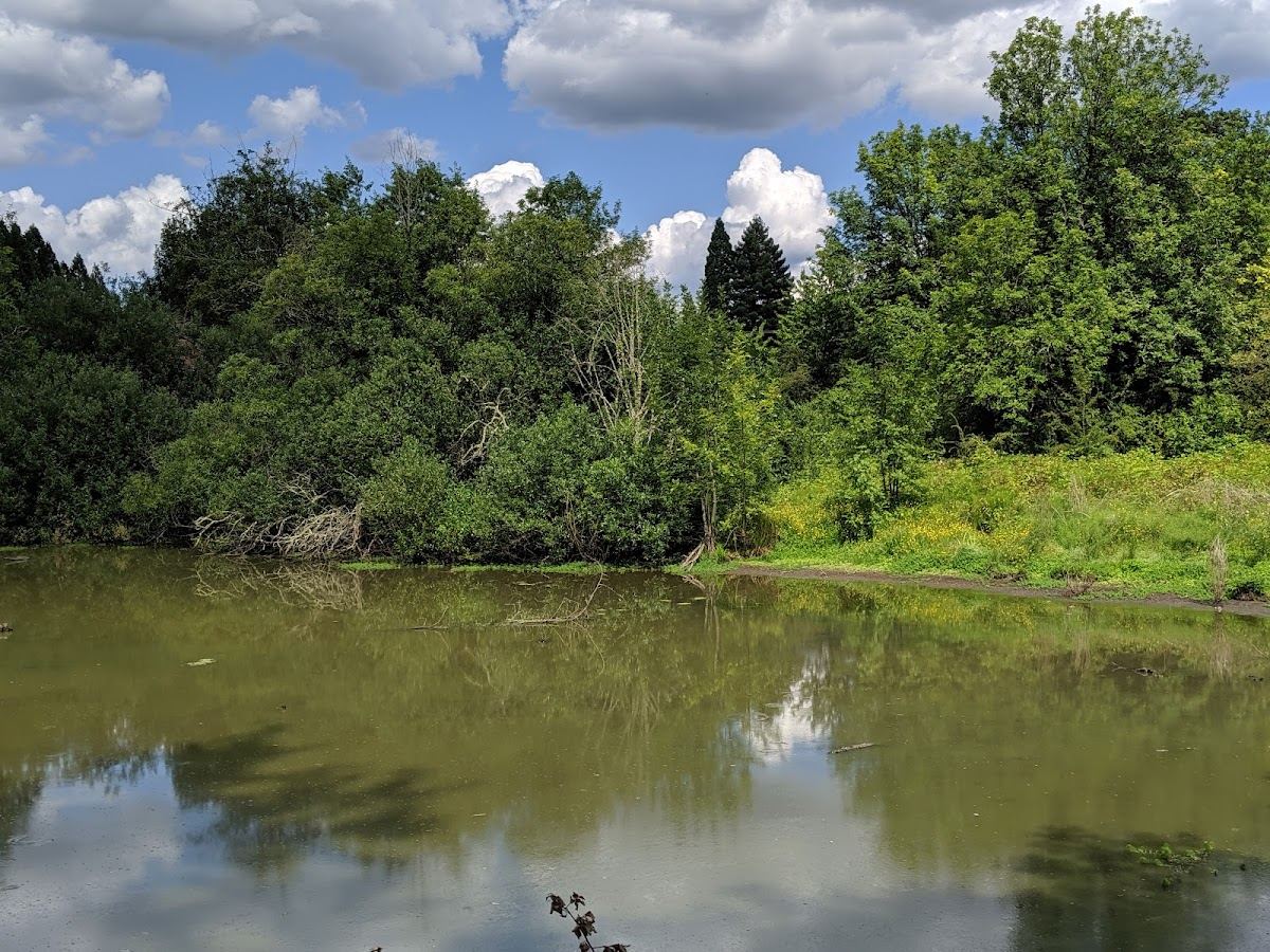 Vista Brook Park