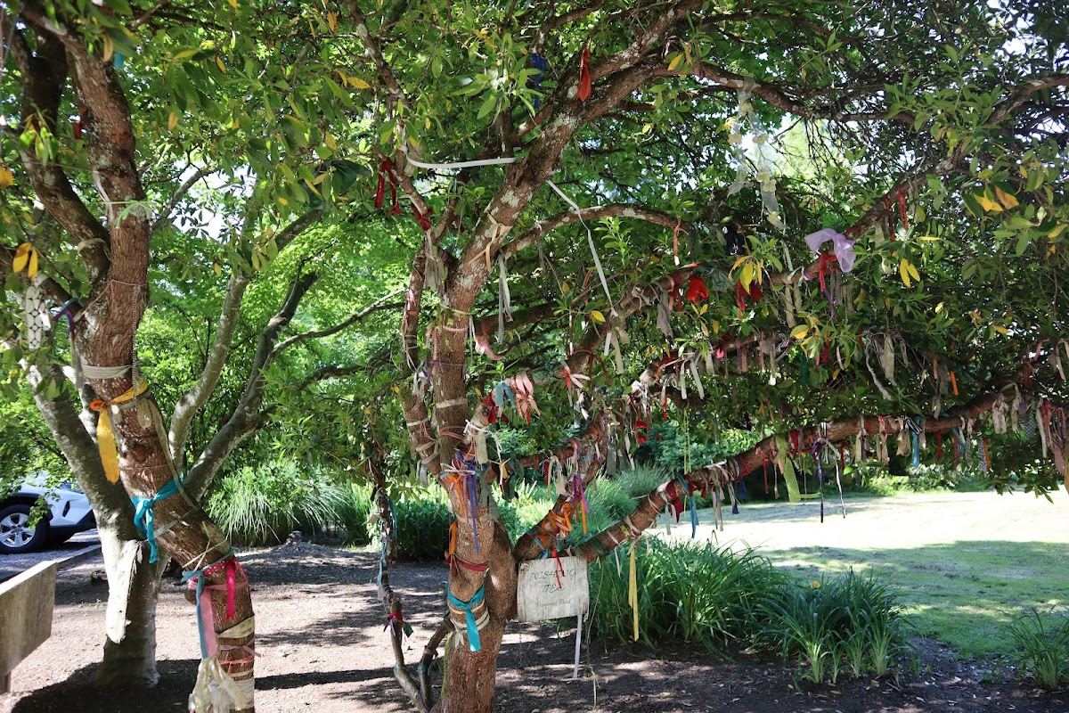Wishing Tree