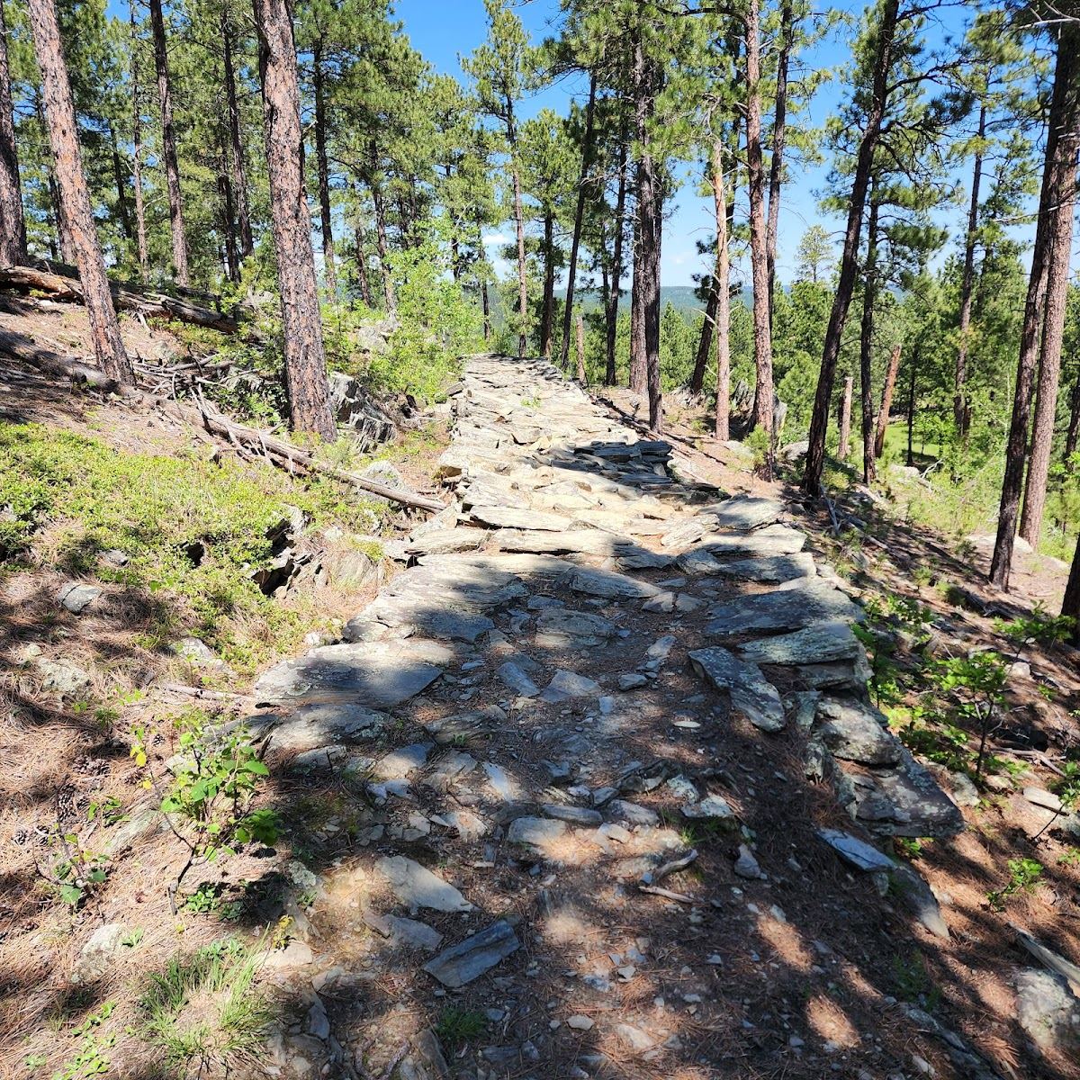 Coon Hollow Trailhead