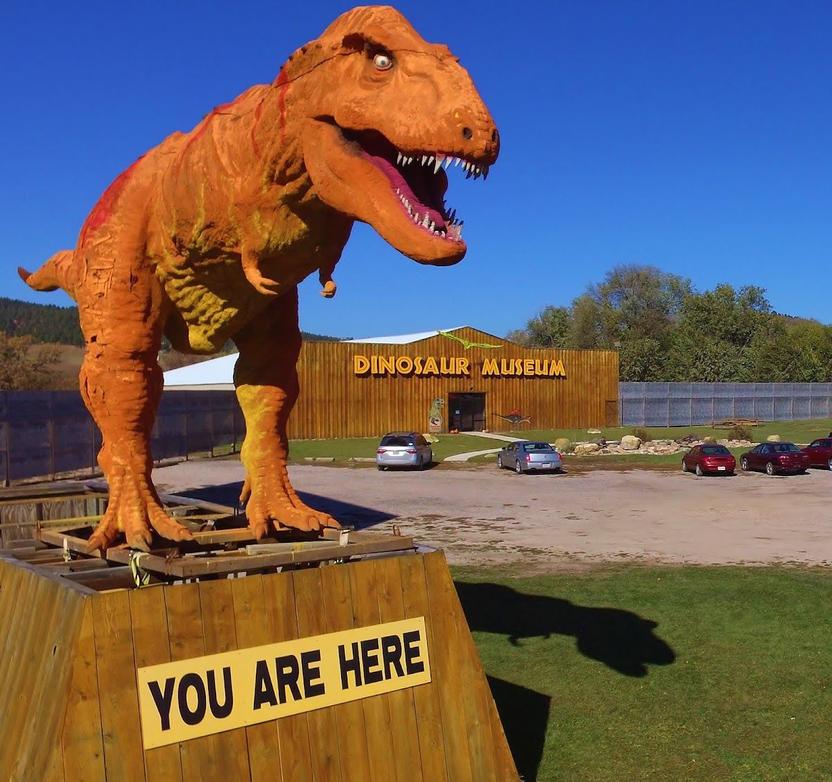 Dinosaur Museum