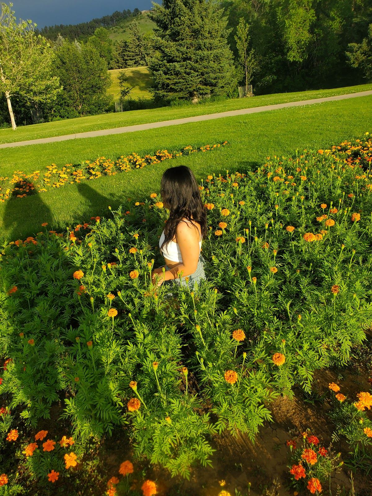 Formal Gardens