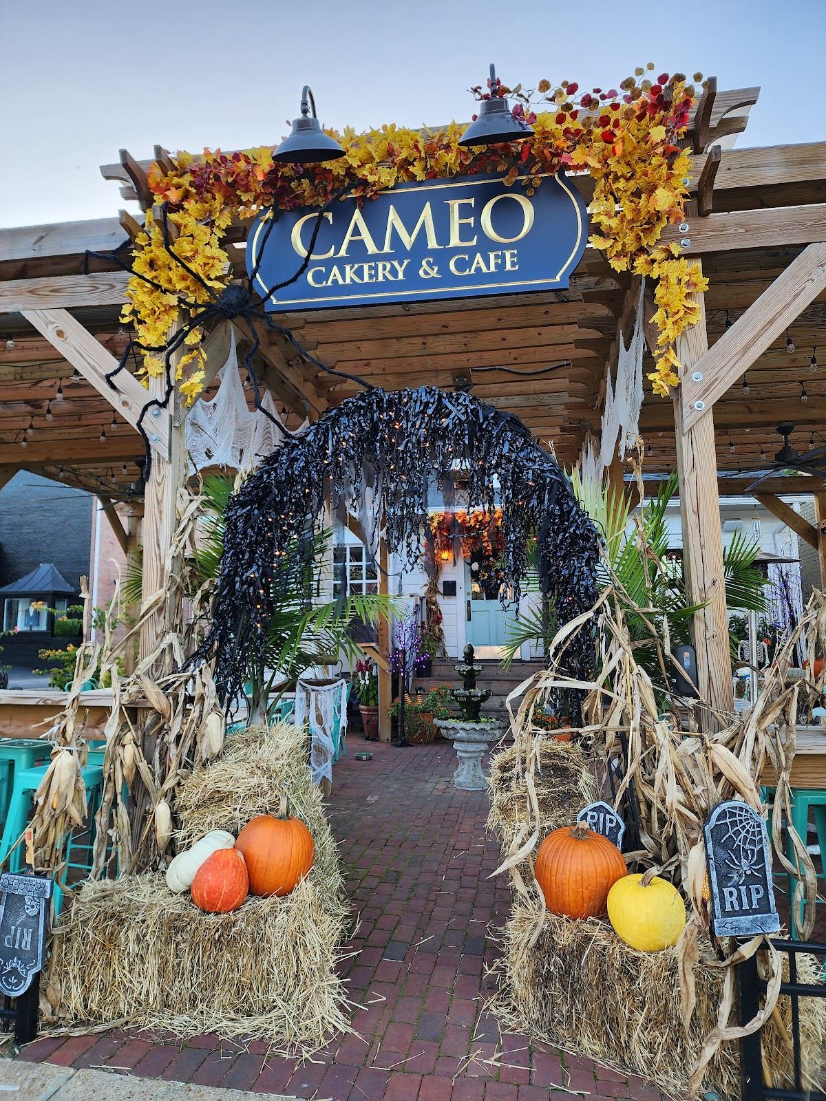 Cameo Cakery And Cafe