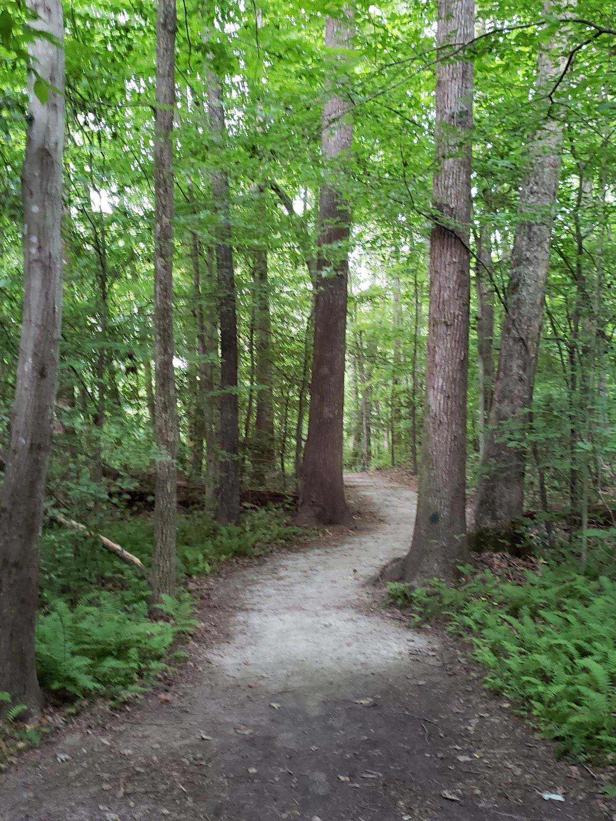 Rockwood Nature Center