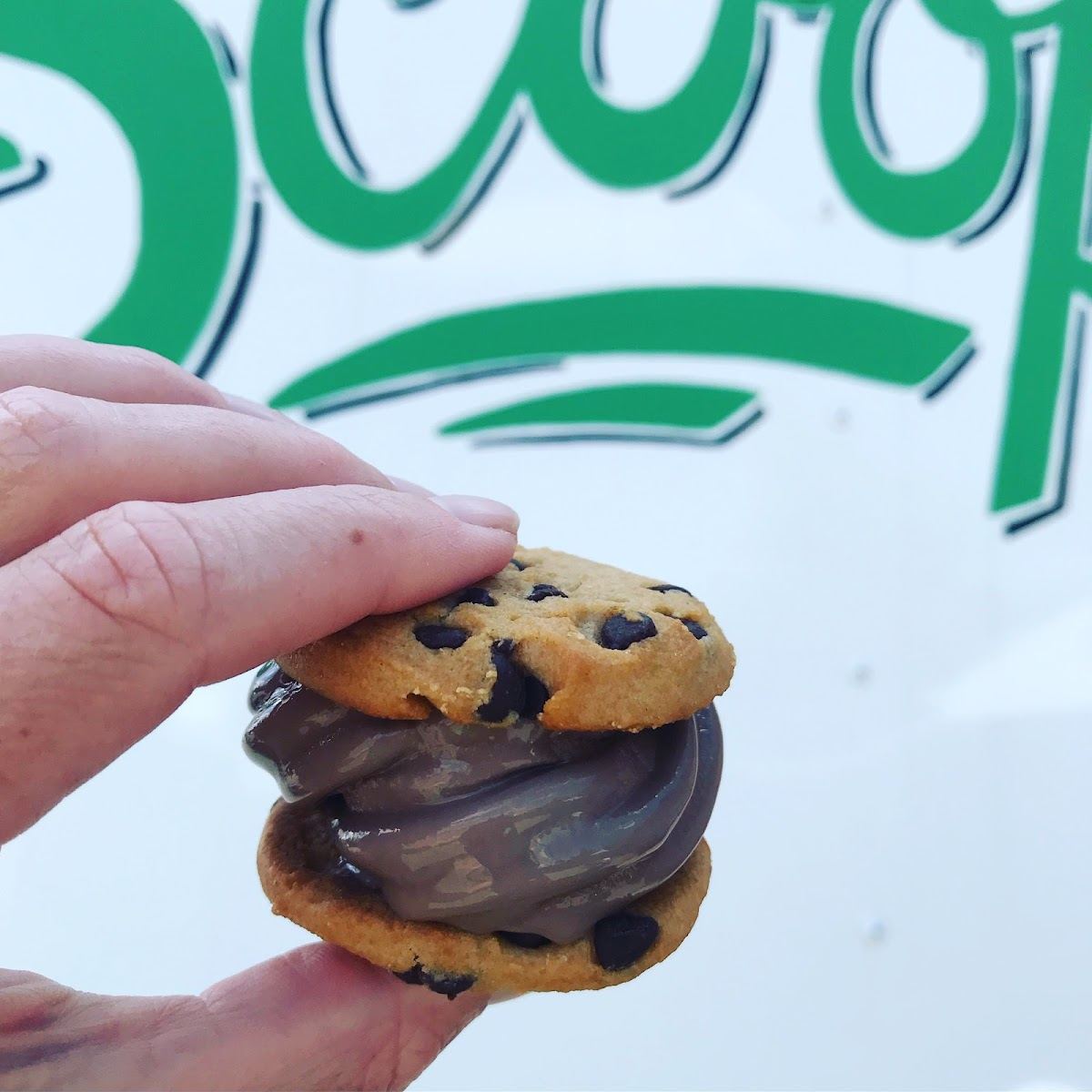 The Neighborhood Scoop