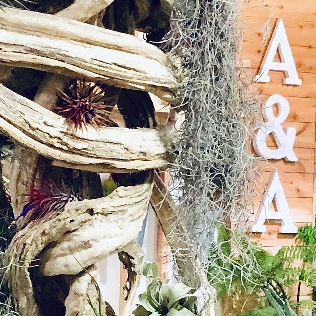 ARTIFACTS & ARTICHOKES