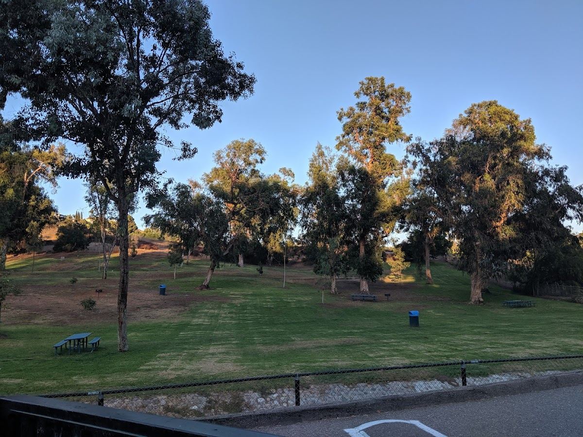 Eucalyptus County Park
