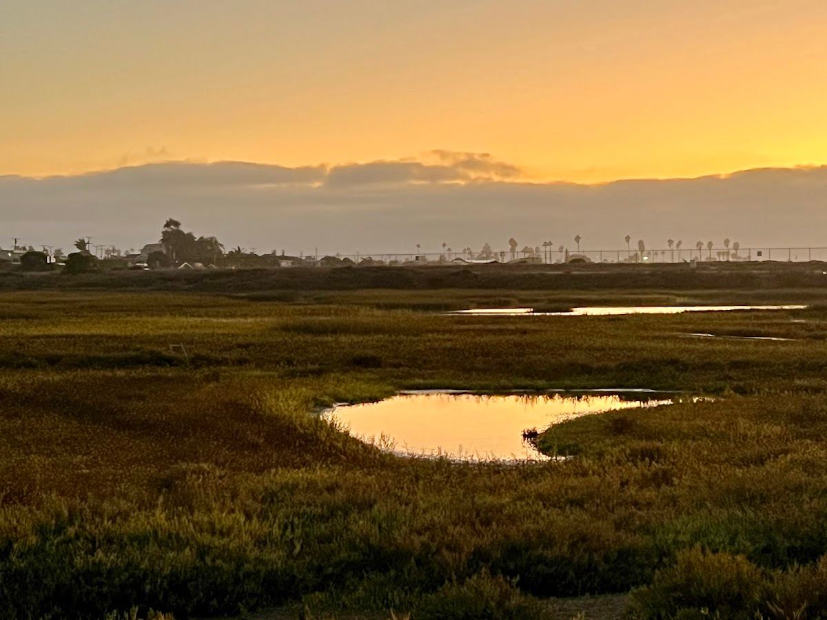 Flamingo Trail