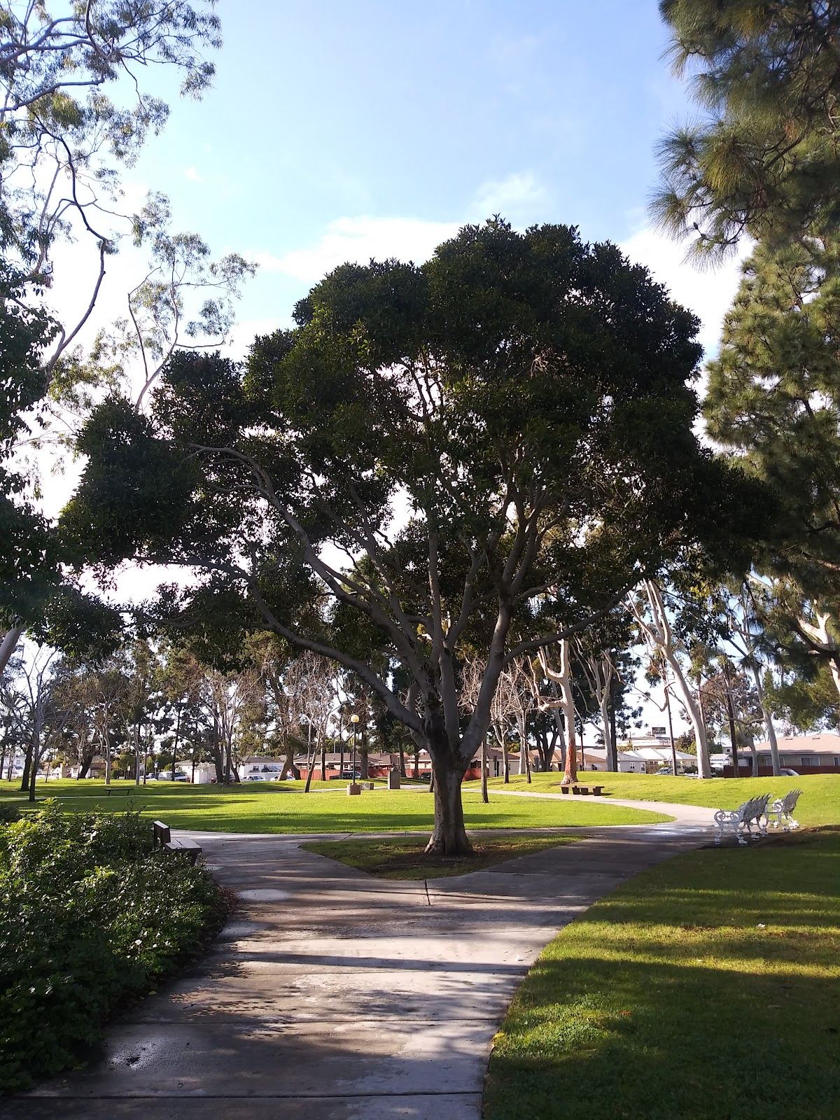 Friendship Park