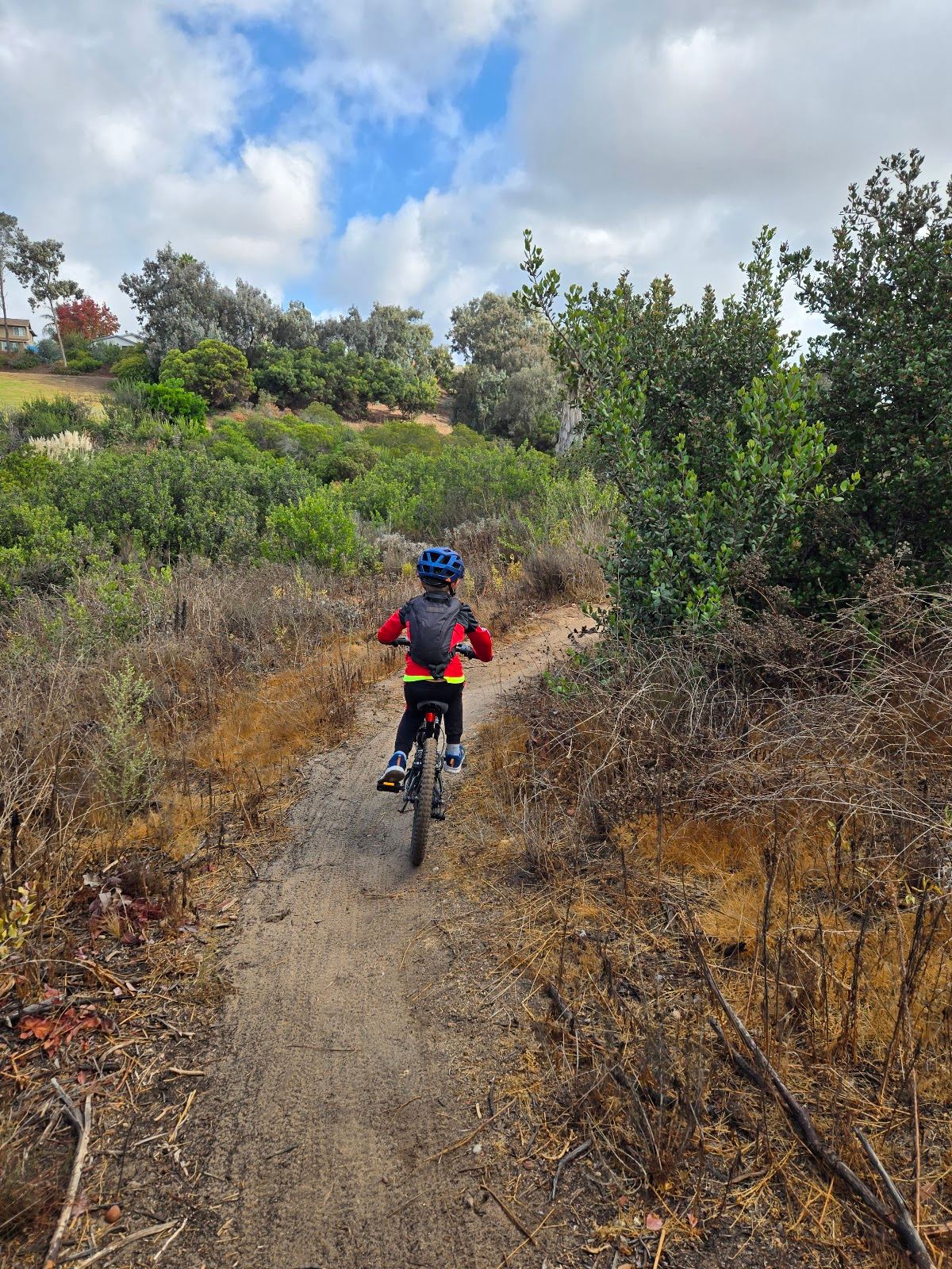 Independence Park Open Space
