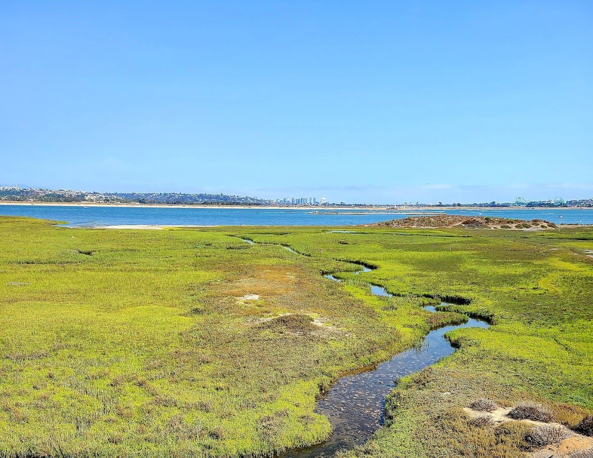 Kendall-Frost Mission Bay Marsh Reserve