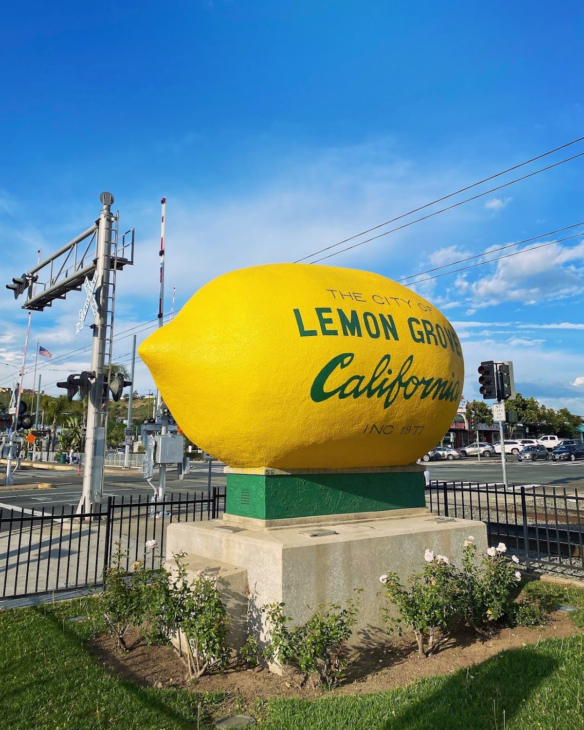 Lemon Grove Giant Lemon