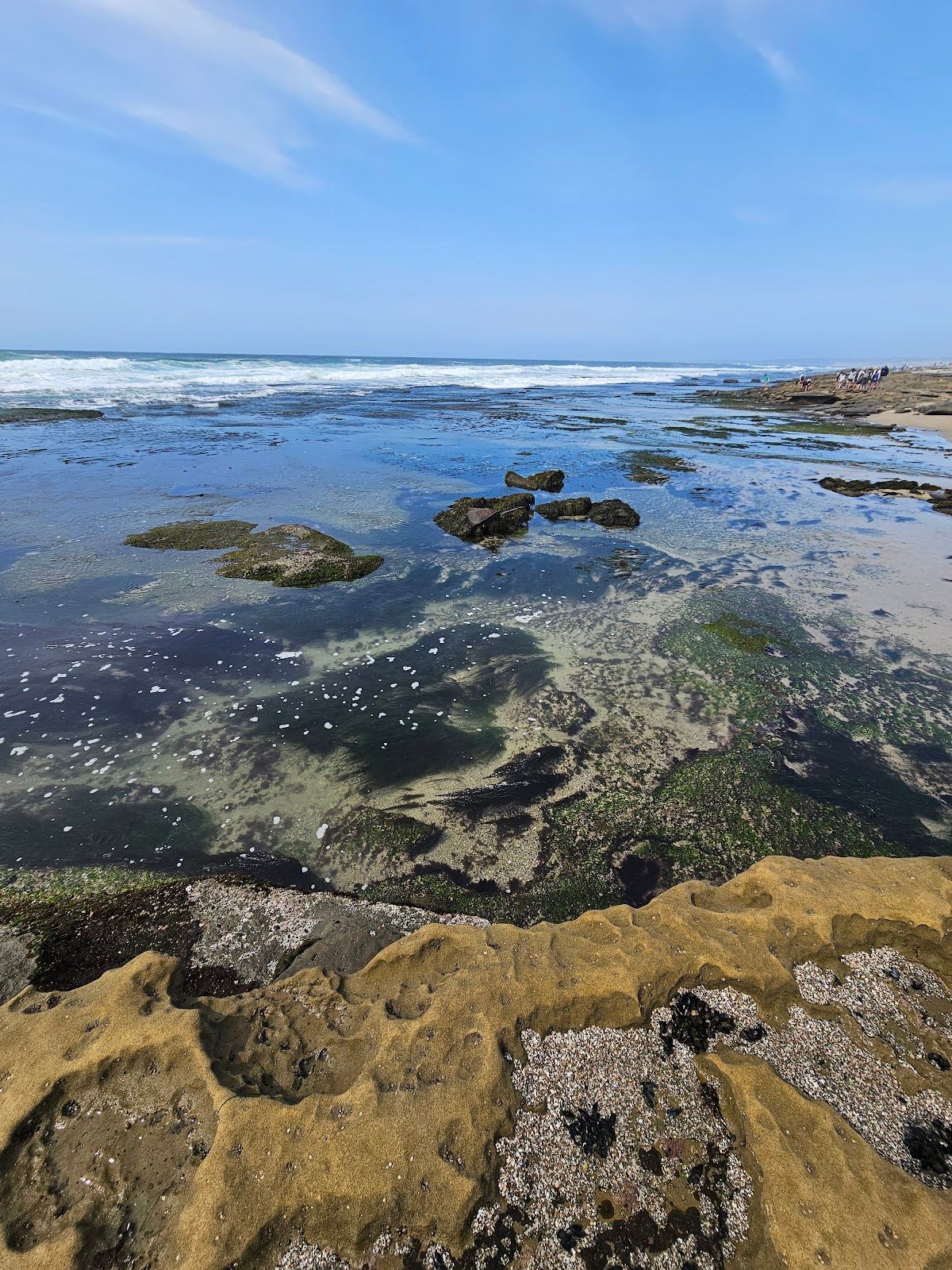 Ocean Beach Tide Pools