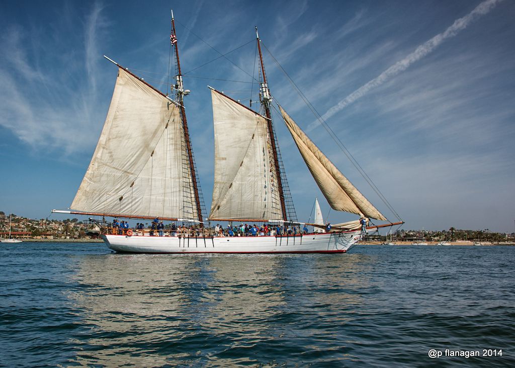 Schooner Bill Of Rights