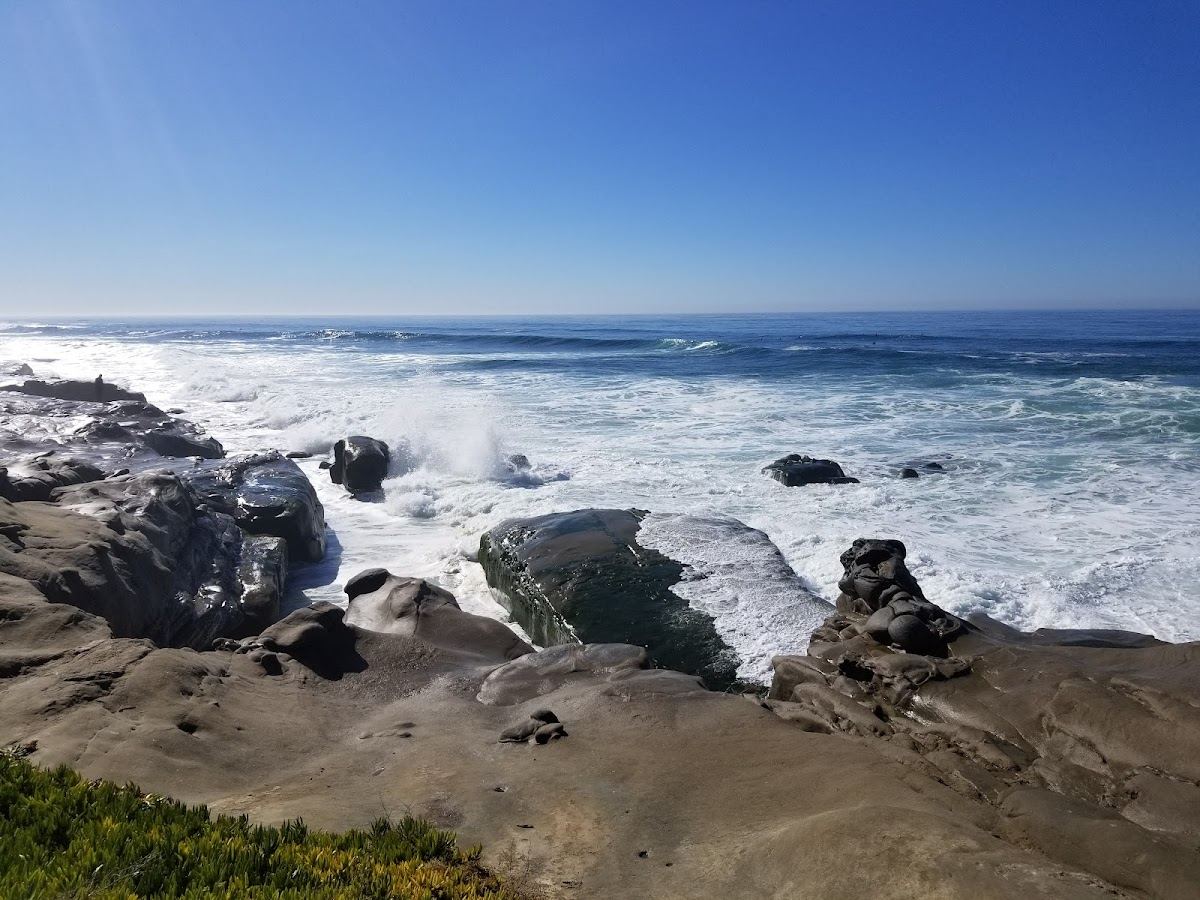 Windansea Park